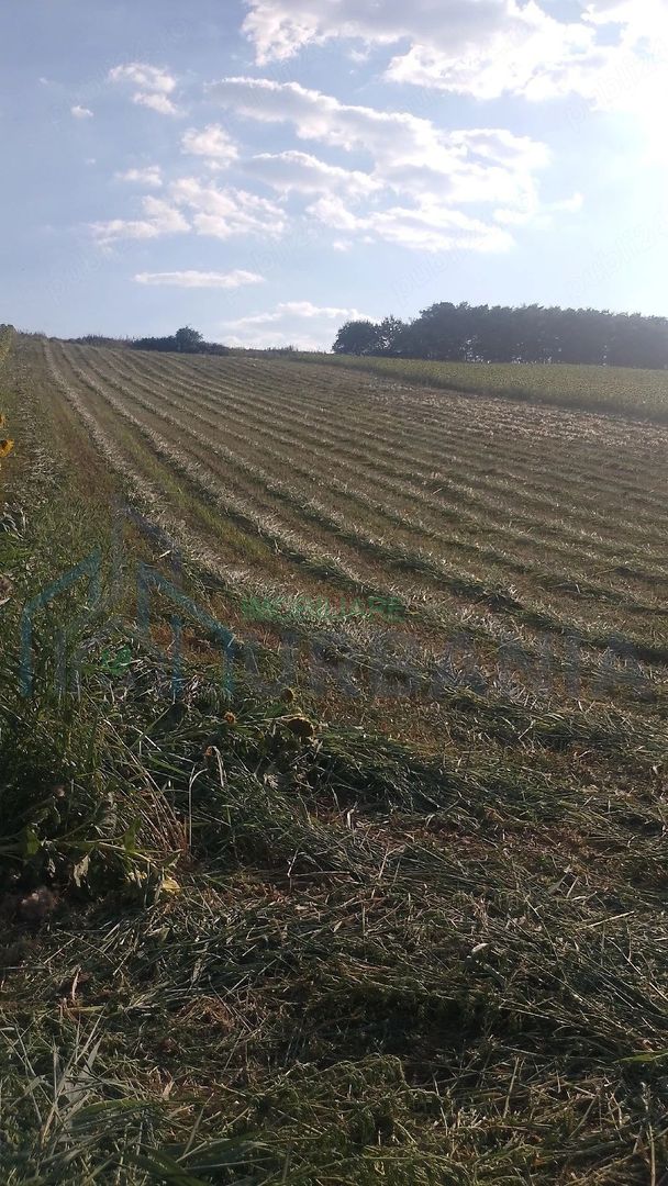 Teren extravilan de vânzare în Vânători, comuna Popricani - Poză 6