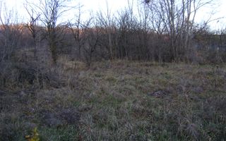 Teren de vanzare Cornu de Jos - Poză 3