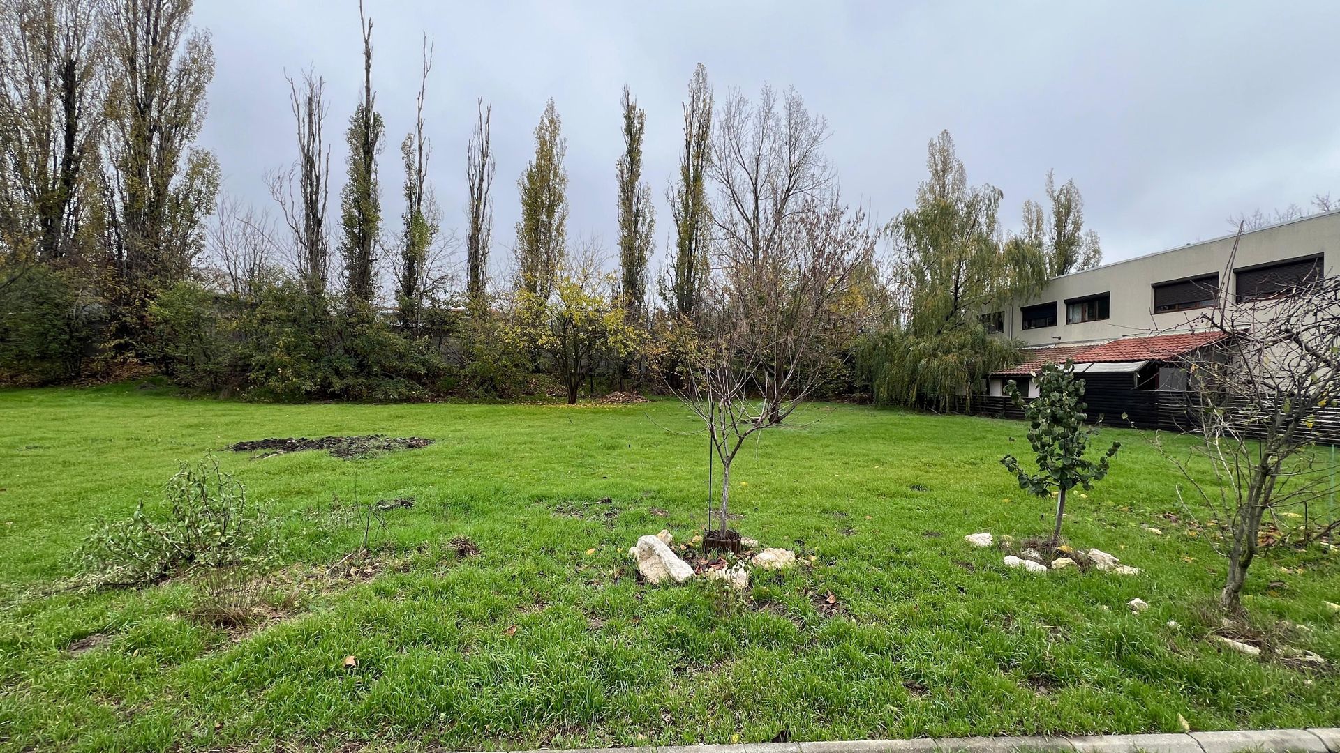 584 mp | Teren liber | Ideal locuinta | Zona pazita - Poză 8