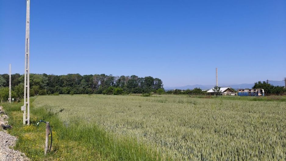 Teren 10.294 mp de vânzare Târgu Jiu | Intravilan + Extravilan | Utilități - Poză 3