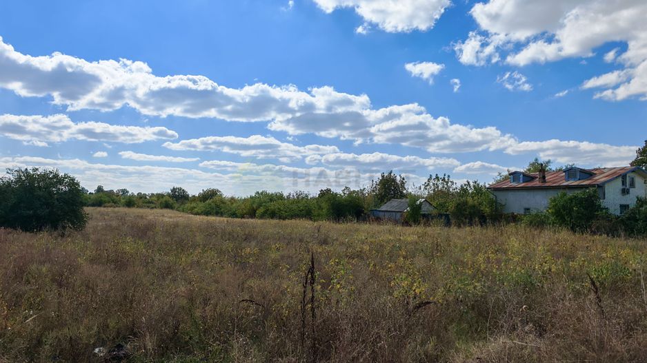 5.900 mp pentru Dezvoltare Rezidențială – Str. Polonă, Periș - Poză 5