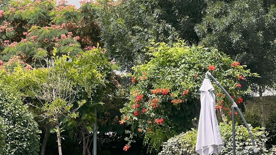 APARTAMENT 4 CAMERE | PROIECT NOU | PISCINA IN COMPLEX - Poză 14