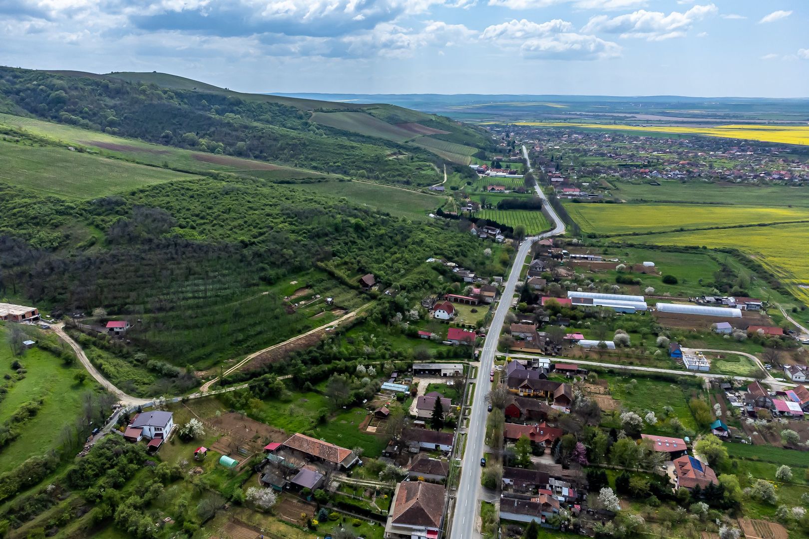 4.300 mp teren pe deal împădurit la Miniș - Poză 5