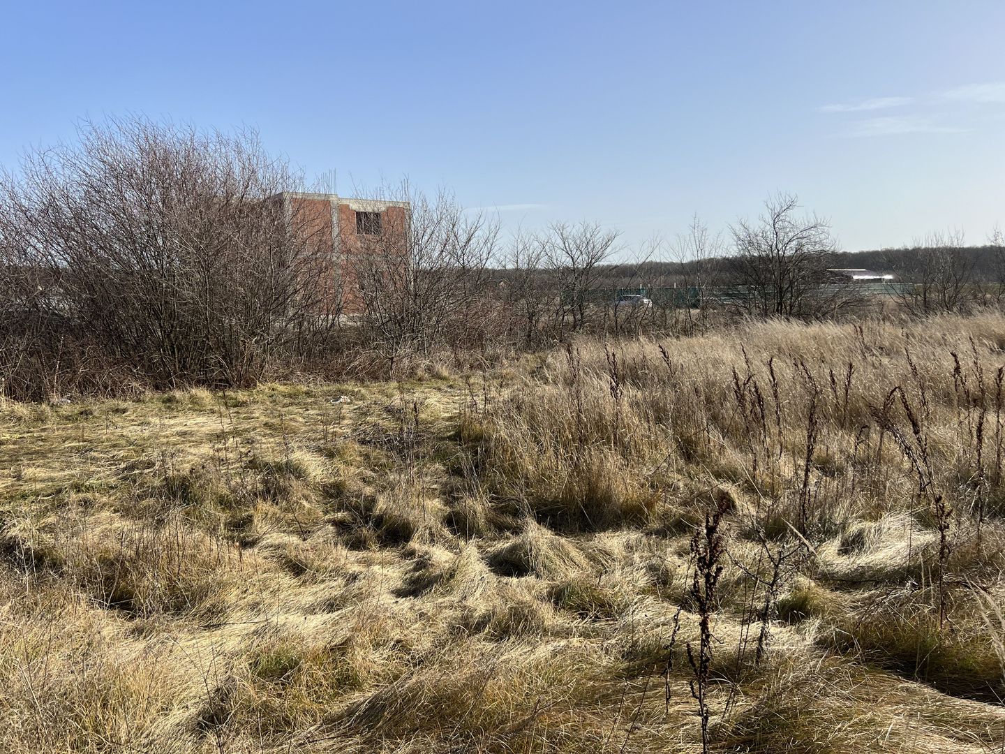 Teren Balotesti - Privighetorilor (Parcului Edenland) - Poză 7