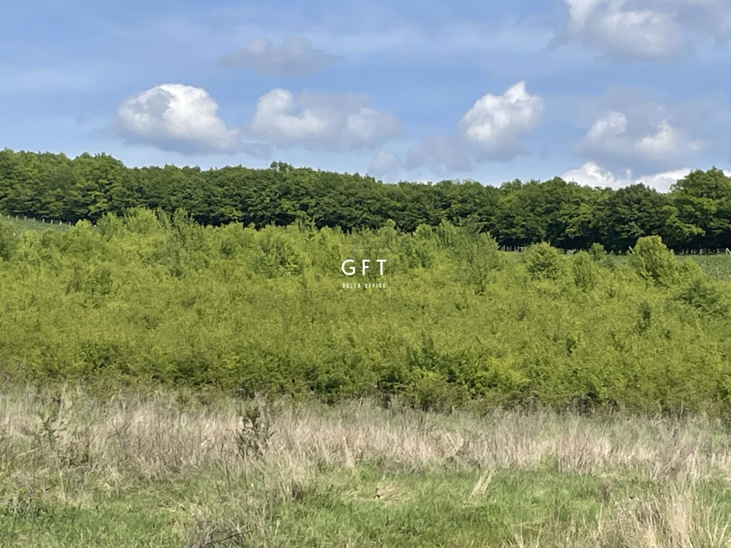 Teren extravilan 10000 mp, Jelna. - Poză 15