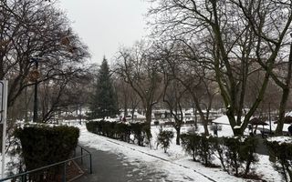 3 camere " LA CHEIE" cu vedere catre Parcul Plumbuita - Poză 19