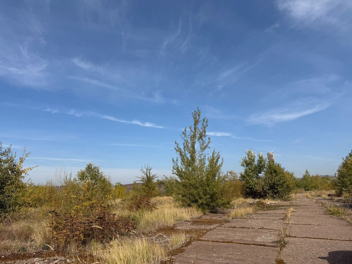 Platformă industrială 37,6 ha, Valea Călugărească cu proiect de racord feroviar - Poză 16