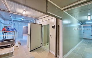 AZURA Imobiliare - Hala Fabrica de procesare Carne - Poză 13