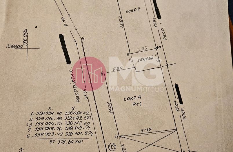 Matei Voievod, vila individuala de vanzare - Poză 22