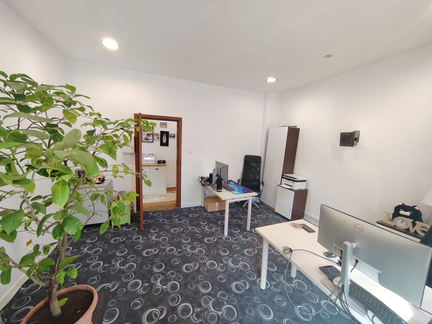 Parcul Carol,imobil versatil rezidential /birouri,parcare si curte - Poză 5