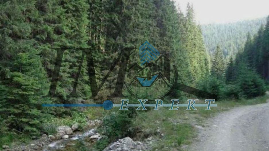 Teren de vânzarepadure  in Cugir 10.644mp - Poză 2