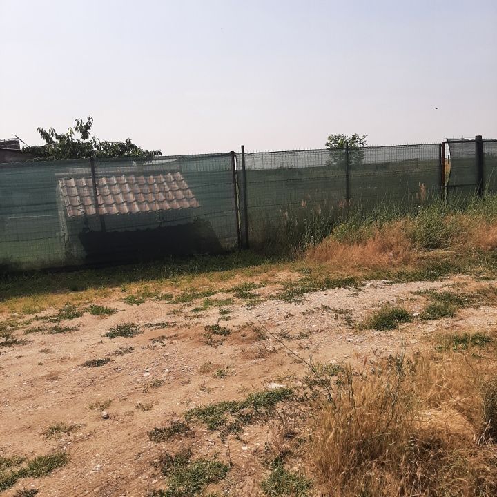 Teren 585 mp, intravilan, in Domnesti catre Teghes, din str. Curtea Domneasca - Poză 7
