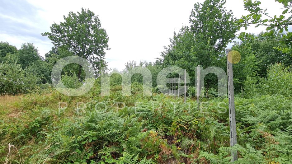 Teren intravilan de vânzare | 1.656 mp | 69.000 € | strada Murelor | Groși - Poză 5