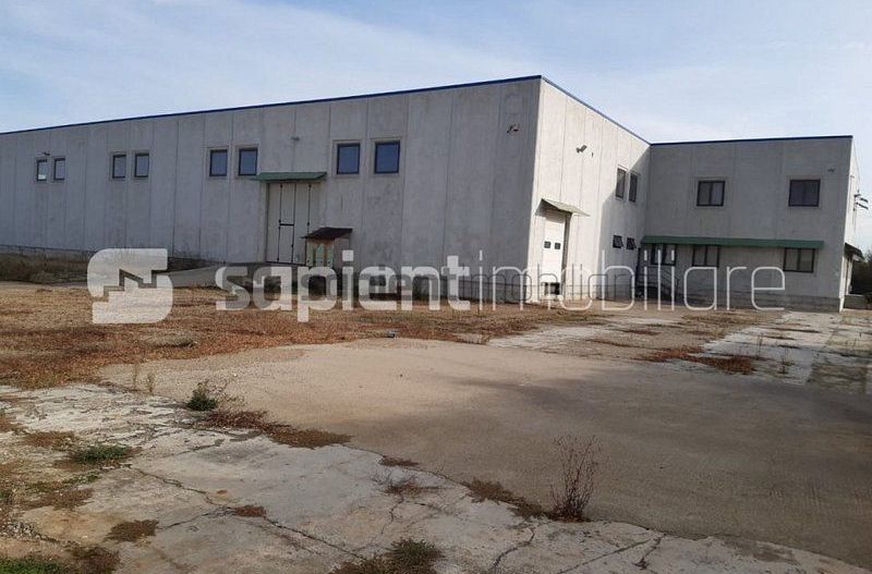 Sapient | Hala situata in com. Borș - Poză 2