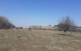 1.600mp intravilan recomandat investitie/ rezidential/ mic proiect imobiliare - Poză 4