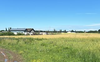 Vanzare Teren Intravilan Padure Izvorani (prin) Strada Florilor - Poză 3
