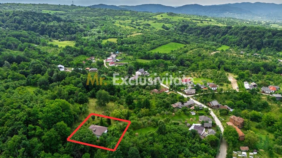 Casa moderna si casa bunicii + 6300 mp teren,Oaza autentica in Corbi Arges- - Poză 24