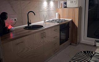Apartament cu 2 camere + Terasă + Curte - Pallady - Parcul Teilor - Poză 7