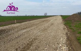 Teren industrial pentru hale - Poză 4