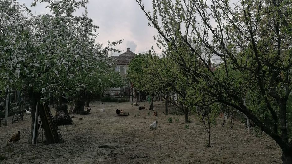 Ag EUROPA vinde casa 6 cam teren 11 ari în zona 14 Mai. - Poză 9