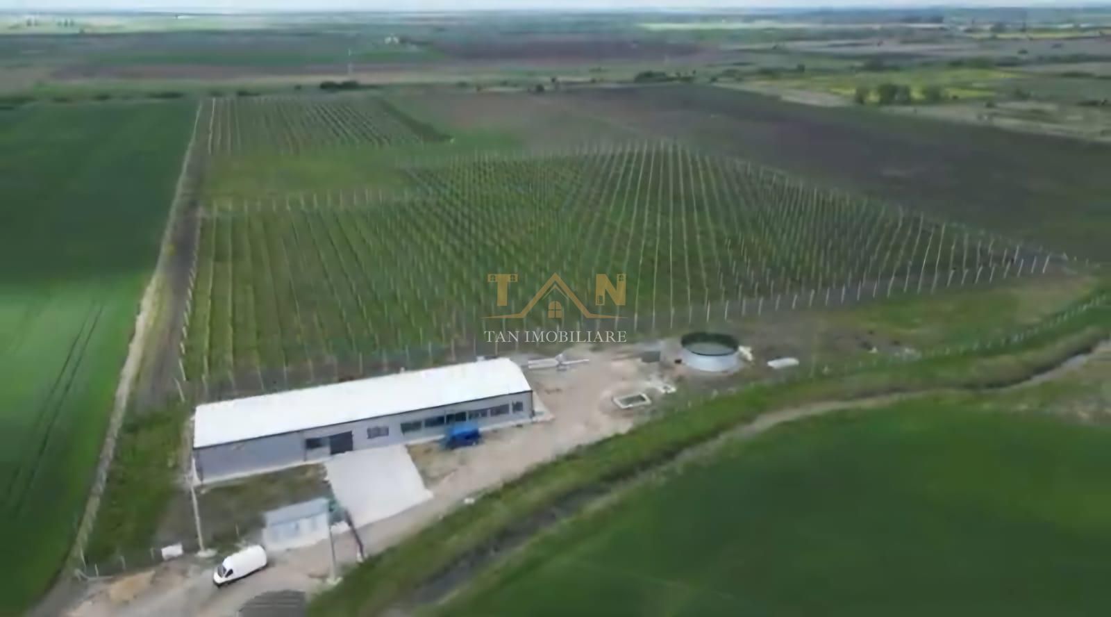 De Vânzare Afacere La Cheie ( ARAD) - Poză 1