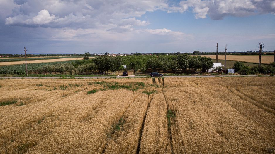 Livadă de nuci altoită și ecologică 2.5ha - Poză 9
