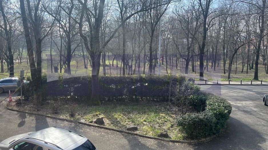 INCHIRIERE VILA | VEDERE PARCUL VERDI | 240MP | CURTE PROPRIE-PARCARE - Poză 36