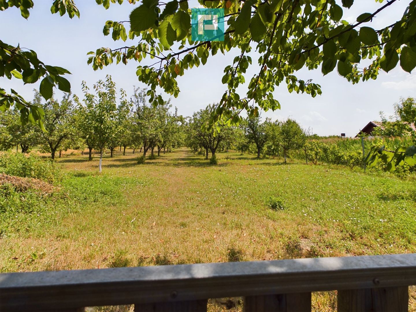 Casă cu livadă de pomi în Dorobanți - Poză 18