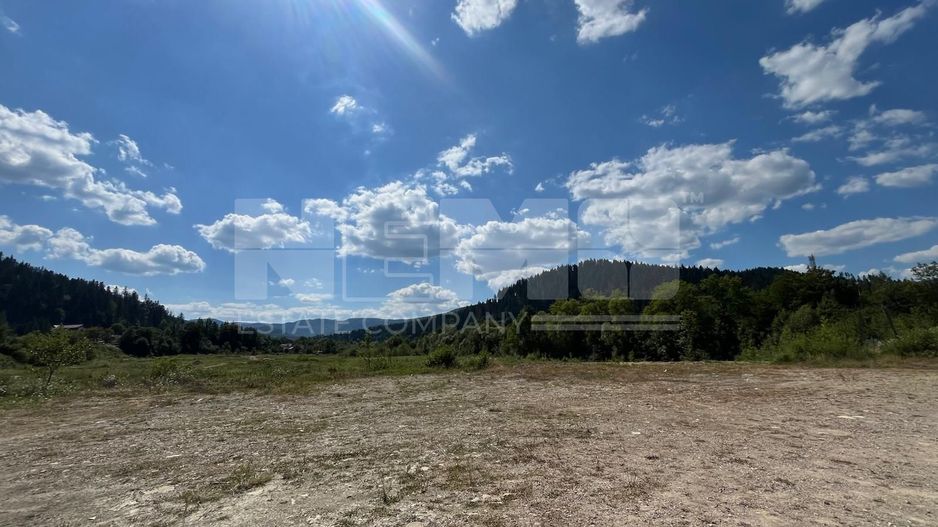 TEREN INTRAVILAN 2,26 HA | SUCEVITA | - Poză 1