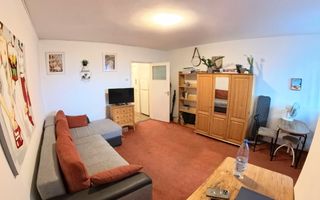 Apartament 1 cameră - cartier Aleea Carpați, zona Bazinul Olimpic - Poză 1