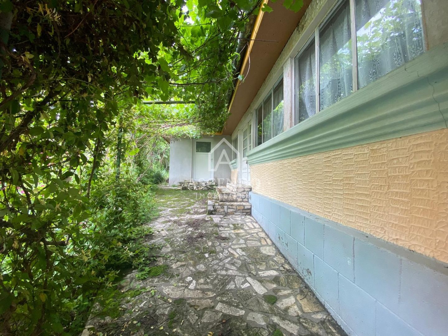 Domeniu 15.900 mp în Fințești | Casă + Investiție Dealu Mare - Poză 2