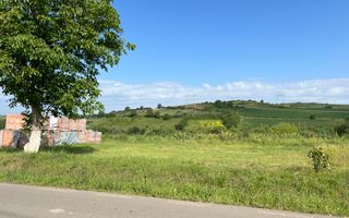 Teren HALA de vanzare iesirea din Sura Mare spre Hamba/Casă single/duplex - Poză 2