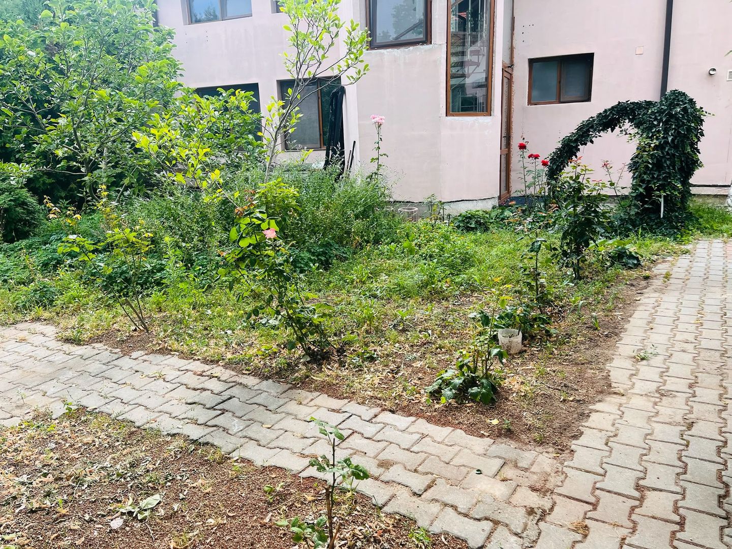 Oaza de liniste si verdeata, aproape de Km 0 -  Brestei, zona Obedeanu - Poză 16