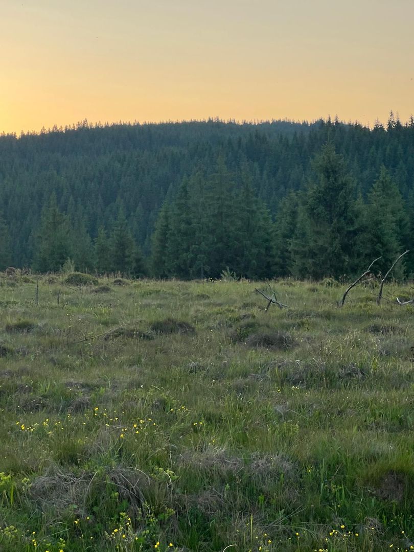 50 hectare teren | Moldova-Sulita | Potential turistic si agricol - Poză 16