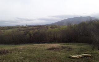 Teren Extravilan 4.572mp | Zonă liniștită | Sadu - Poză 1