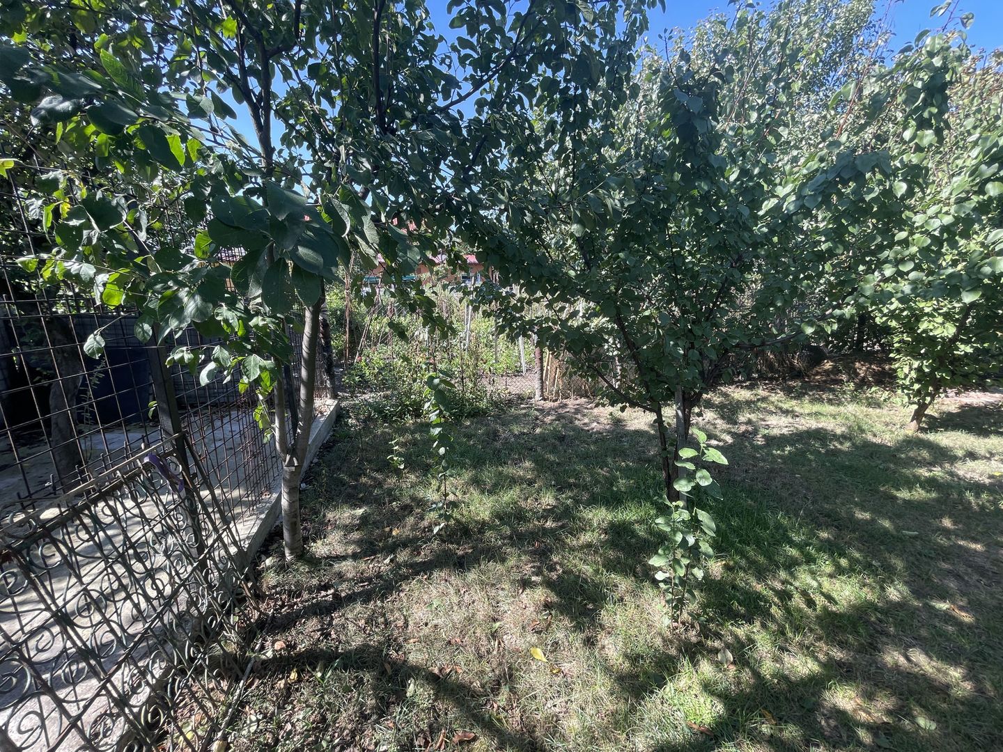 Casa cu teren 1000 mp și front 26 ml în zona Bogdanesti - Poză 7