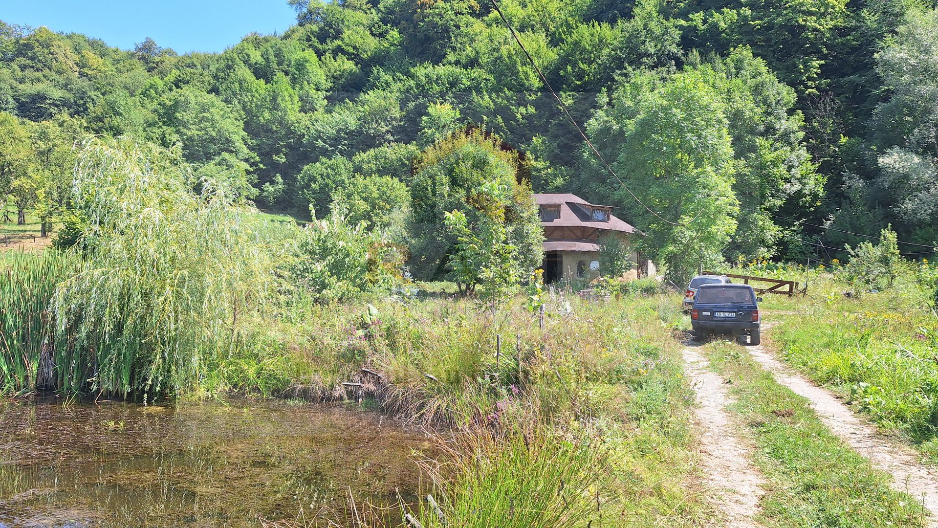 VANZARE ANSAMBLU CASUTE BRADULET ARGES - Poză 22