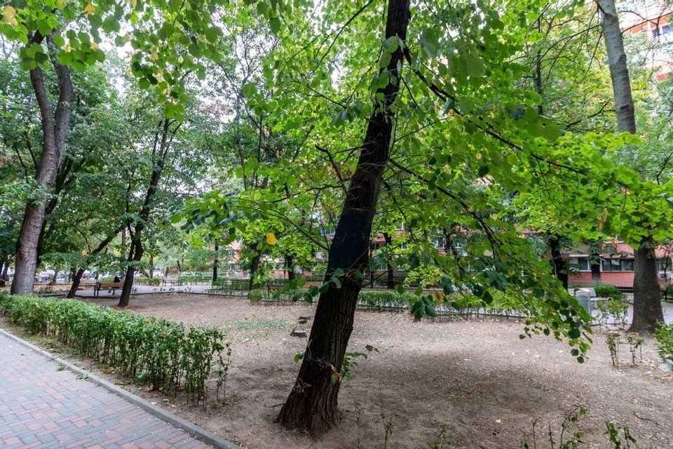 Ap cu 2 camere 49 mp - Piata Muncii - mobilat/utilat! - Poză 13