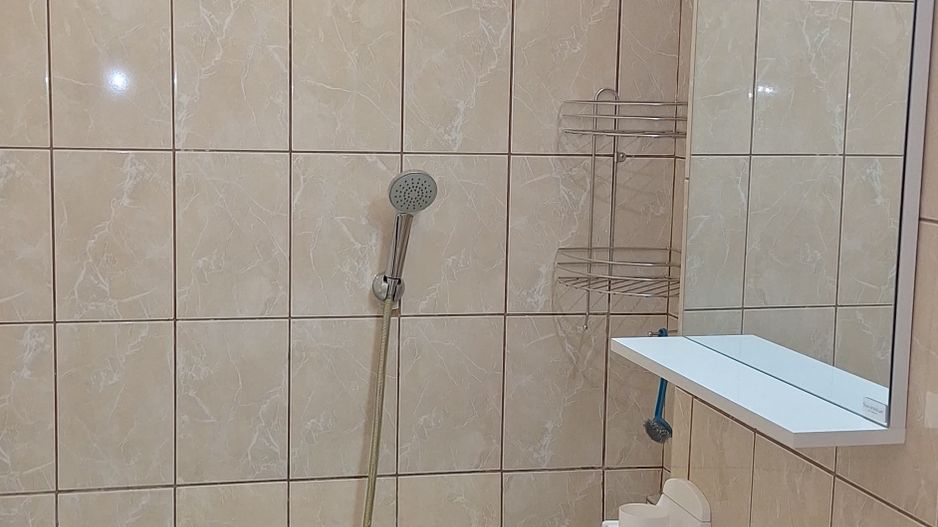 Apartament 1 Camera Gorjului - Poză 12