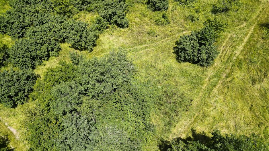 Teren pe deal la Sebiș - Poză 9