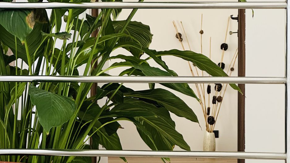 Oferta Inchiriata - Casa Segmentul Premium, 180 mp | Garaj&Gradina | Fropin - Poză 36