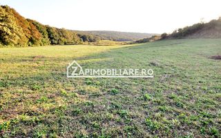 De vanzare 2 terenuri de 29.500 mp si 1.400 mp.29 euro mp - Poză 3