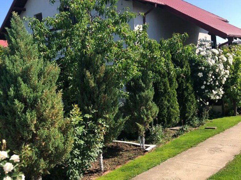 Vila - parter + mansarda -   Sendreni,  jud. Galati - Poză 10