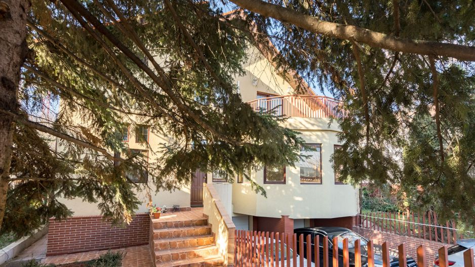 VILA IANCU NICOLAE - GRADINA ZOO - JOLLIE VILLE - Poză 18