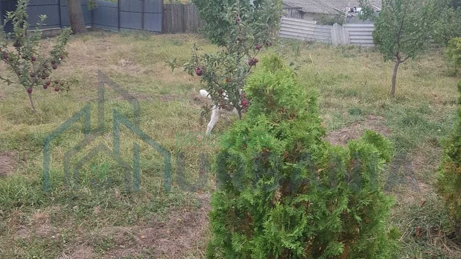 Teren intravilan - Poză 3