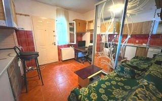 Studio/Garsoniera, Pet Friendly, Calvaria, Penny, Manastur, 18 Gym - Poză 3