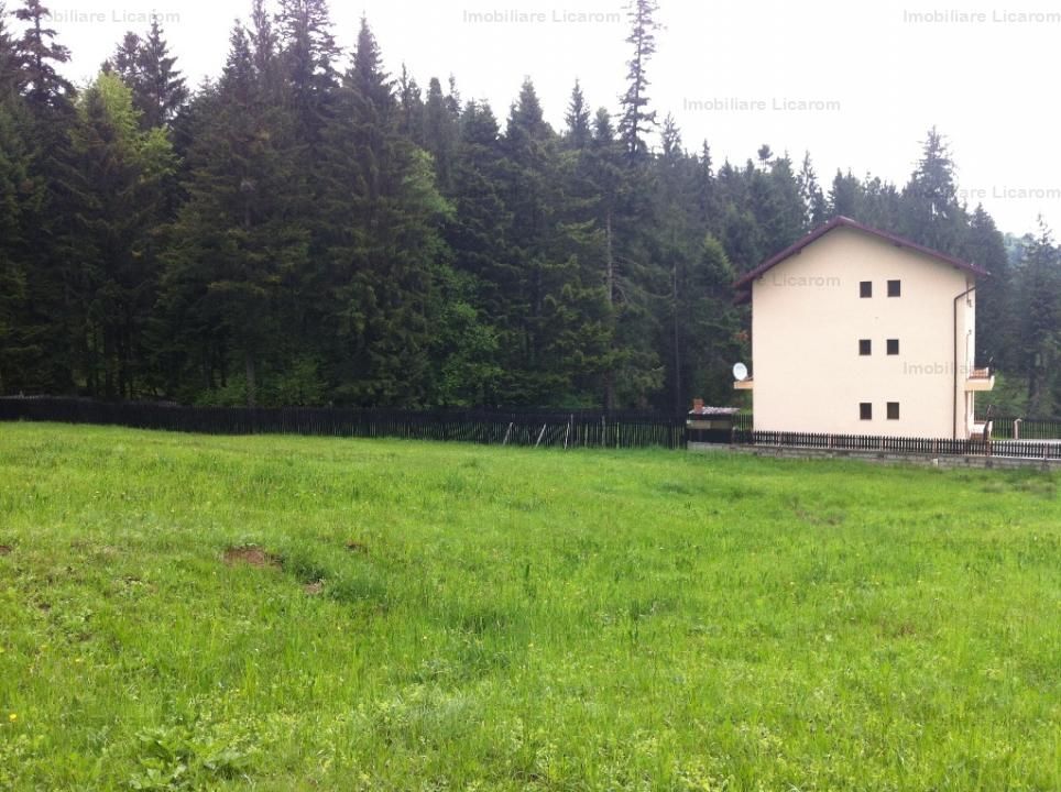 Teren intravilan Cotul Donului,pretabil Hotel/pensiune. - Poză 2