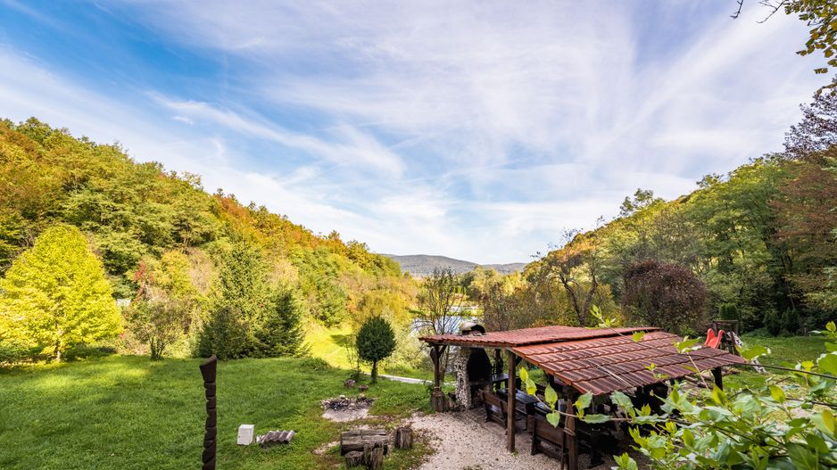 Domeniu în satul Căprioara - Poză 10