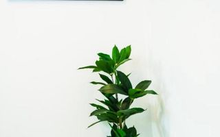 Ap cu 3 camere de închiriat | Mărăști – zona Fabricii / Kaufland - Poză 11