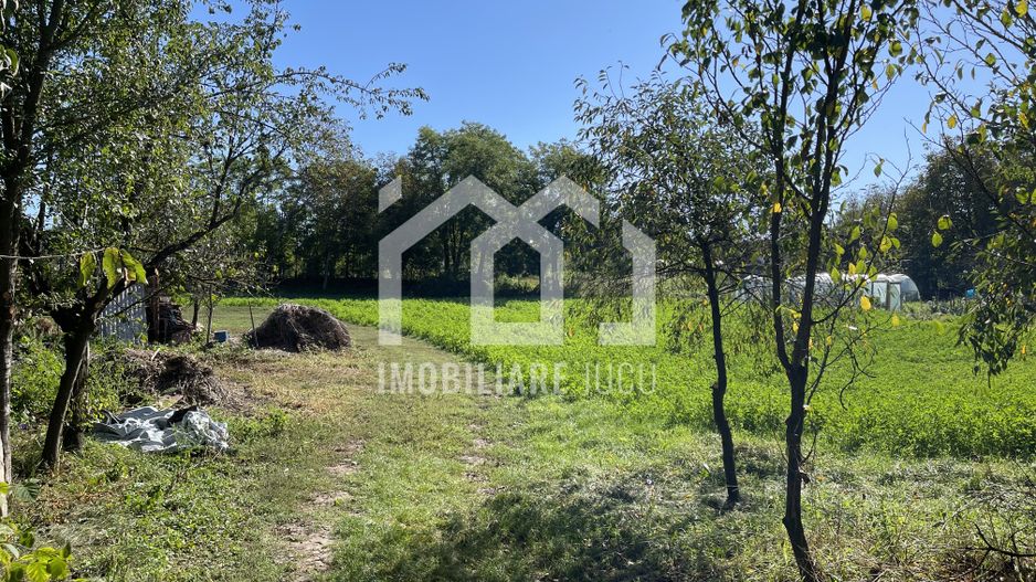 Teren Intravilan 1000mp - Jucu de Sus - Poză 4